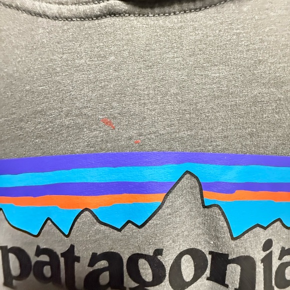 Patagonia Charcoal Hoodie with Logo Size Xl - Picture 3 of 6